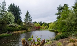 Real image from VanDusen Botanical Garden