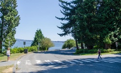Real image from Stanley Park Drive & Pipeline Road (Stanley Park)