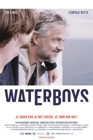 Poster Waterboys 2016