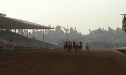 Movie image from Santa Anita Race Track