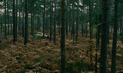 Movie image from Jasper's Cabin