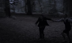 Movie image from Forest