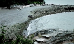 Movie image from Whytecliff Park