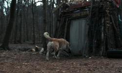 Movie image from Stone Mountain Park