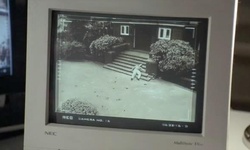 Movie image from Rosemary Mansion