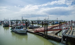 Real image from San Francisco Marina Commercial Harbor