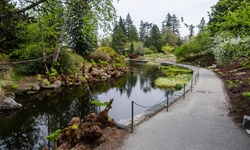 Real image from VanDusen Botanical Garden