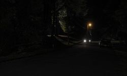 Movie image from Piney Wood Lane (between Piney Wood Drive & end)