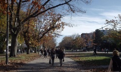 Movie image from Chemistry Building, D-Block  (UBC)