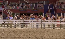 Movie image from Hastings Racecourse  (PNE)