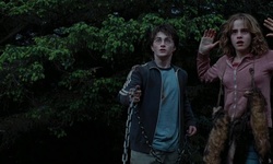 Movie image from La cabane de Hagrid