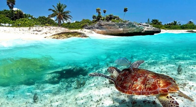 Image Films tournés sur la meilleure plage du monde