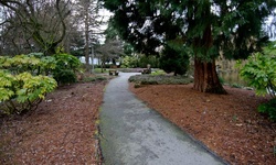 Real image from Minoru Park