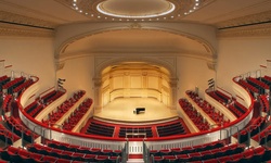 Real image from Carnegie Hall - House of a woman with pigeons