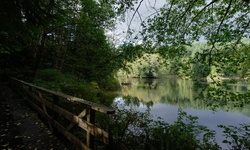 Real image from Lago de Arroz (LSCR)