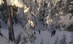 Movie image from Grouse Mountain