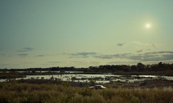 Movie image from Tommy Thompson Park