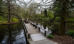 Real image from VanDusen Botanical Garden