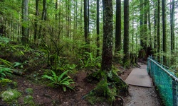 Real image from Parc Lynn Canyon