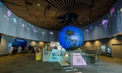 Real image from Aqua World Aquarium