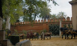 Movie image from Gardens  (Real Alcázar de Sevilla)