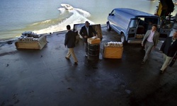 Movie image from Fraser River Terminal Inc.