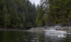 Movie image from Jug Island  (Belcarra Regional Park)