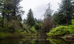 Real image from VanDusen Botanical Garden