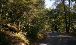 Movie image from 112 Avenue Bridge