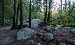 Real image from 30 Foot Pool  (Lynn Canyon Park)