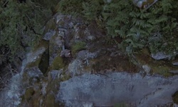 Movie image from Gorges de Chapman