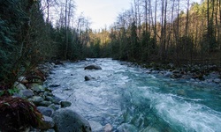 Real image from 30 Foot Pool  (Lynn Canyon Park)