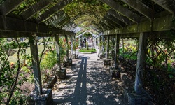 Real image from Pavilion Rose Garden  (Stanley Park)