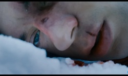 Movie image from Arctic