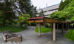 Real image from Koerner Pavilion  (UBC)