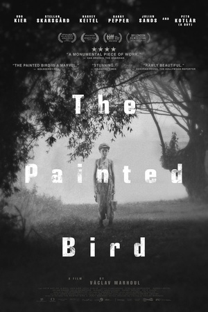 Poster The Painted Bird 2019