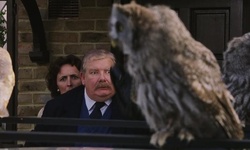 Movie image from The Dursleys' house