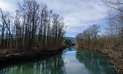 Real image from Snoqualmie Valley Trail Bridge