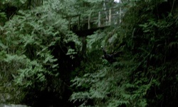 Movie image from Twin Falls  (Lynn Canyon Park)