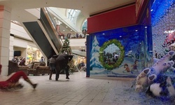 Movie image from Mall
