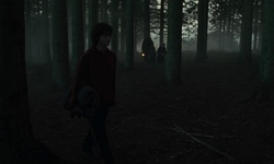 Movie image from Forbidden Forest