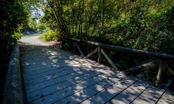 Real image from Burnaby Central Park