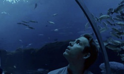 Movie image from Georgia Aquarium