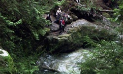 Movie image from Twin Falls  (Lynn Canyon Park)