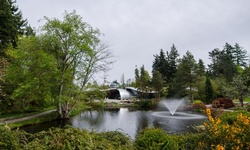 Real image from Jardin botanique VanDusen
