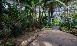 Real image from Allan Gardens