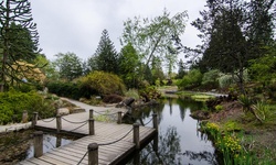 Real image from VanDusen Botanical Garden