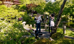 Movie image from Japanese Tea Garden  (Golden Gate Park)