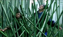 Movie image from Bosque de bambú de la Montaña del Té