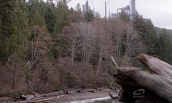 Movie image from Whytecliff Park